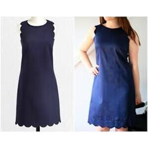 J Crew Womens Scallop Sheath Dress Size 8 Navy Blue Sleeveless Back Zip A3744